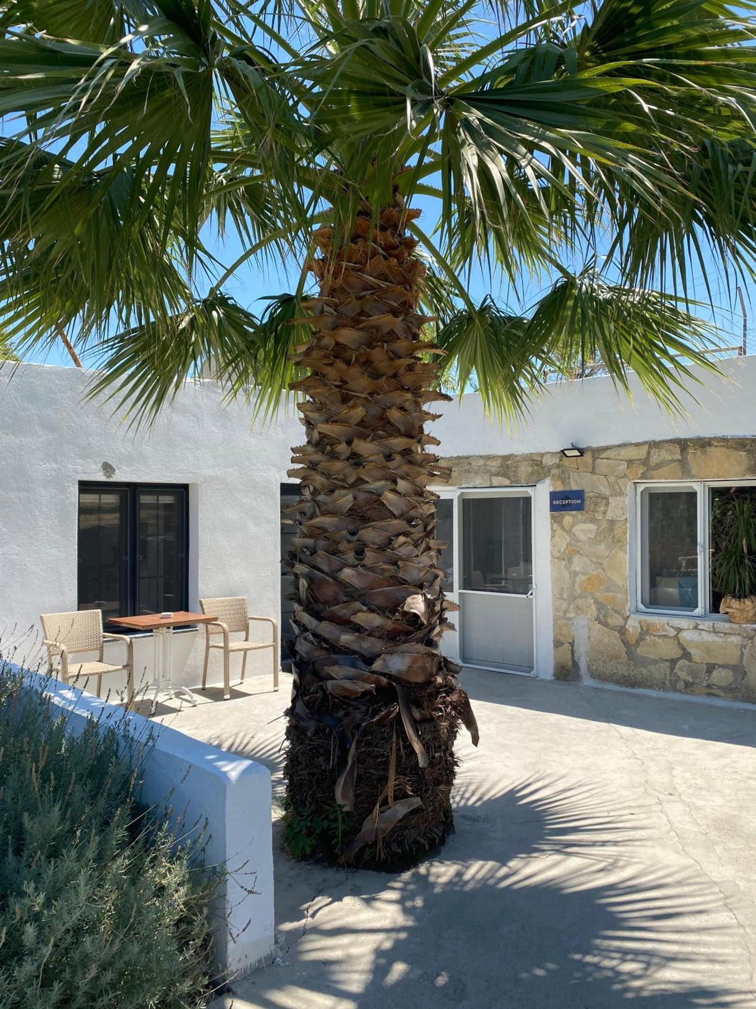 Apartament Erdem Ciftligi/ Ephesus Arena Selçuk Zewnętrze zdjęcie