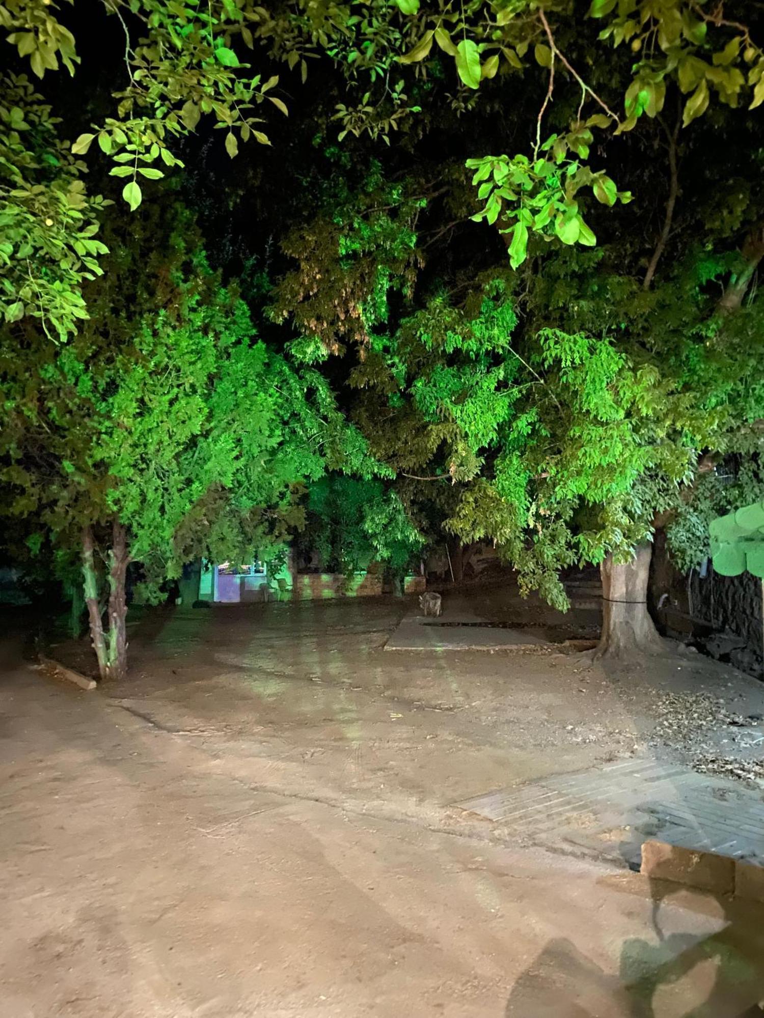 Apartament Erdem Ciftligi/ Ephesus Arena Selçuk Zewnętrze zdjęcie